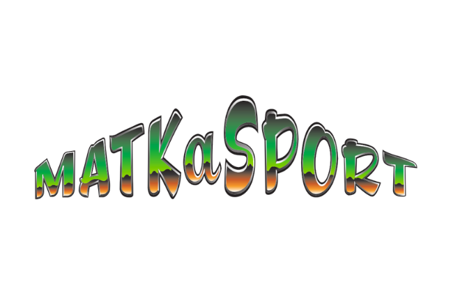 logo evelinamarket 40